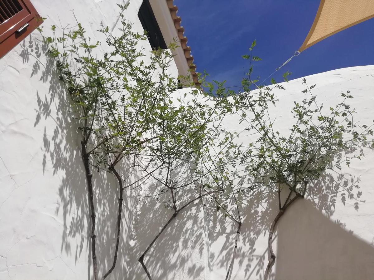 Two Lofts Apartment Matalascañas Екстериор снимка